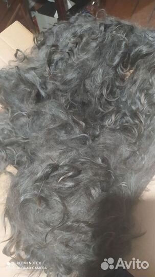 Пуховые козы