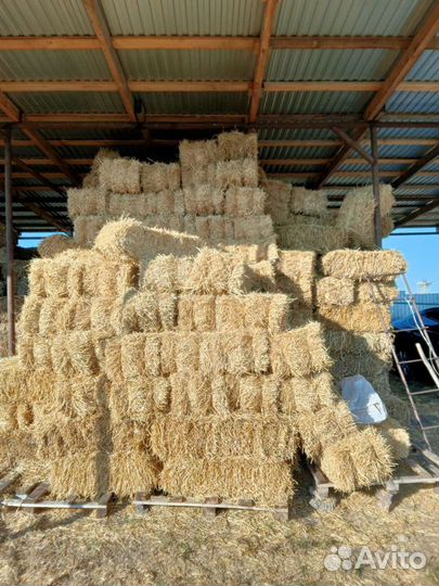 Сено,Солома, горох корм,доставка