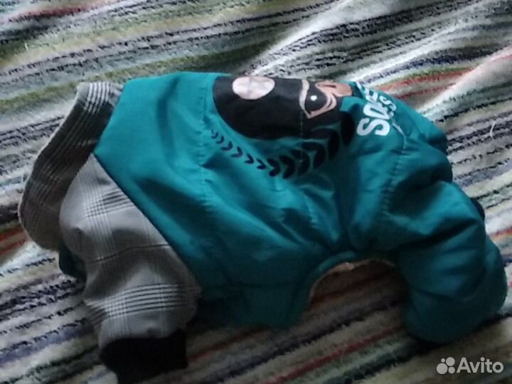 Теплый комбинезон для собак