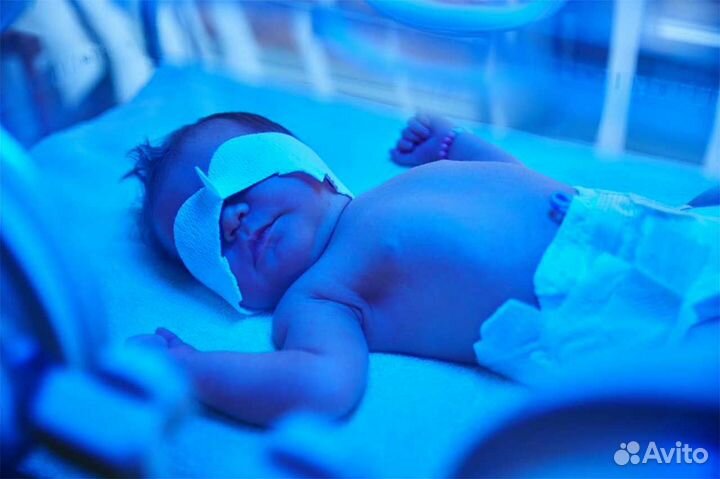 Прокат Лампа для лечения желтухи новорожденных