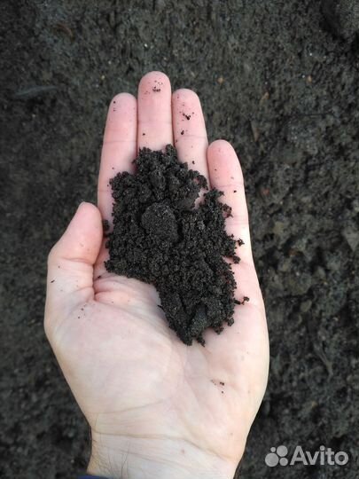 Земля плодородная сеяная