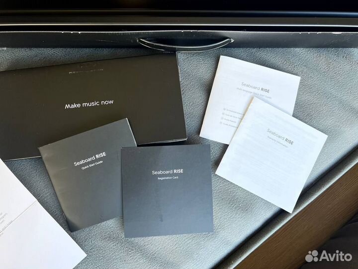 Синтезатор Roli Seaboard Rise 49