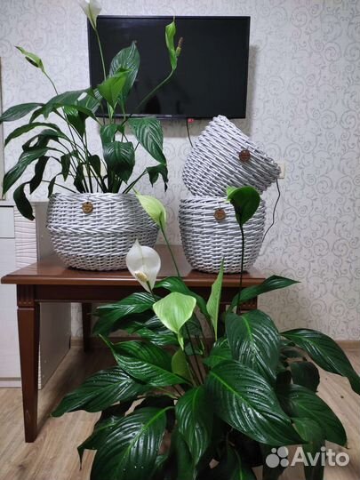 Кашпо комплект из ротанга