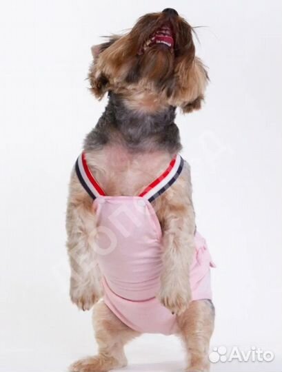 Трусы для собак и кошек многоразовые