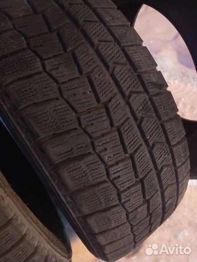 Dunlop Winter Maxx 205/55 R16 91Q