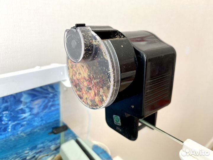 Аквариум с растениями и рыбками