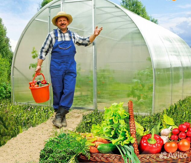 Теплицы-оцинкованные от производителя