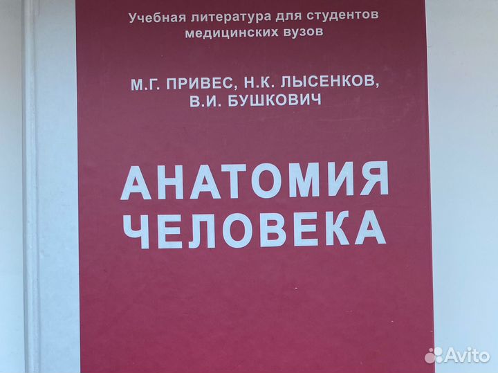 Анатомия человека М. Г. Привес