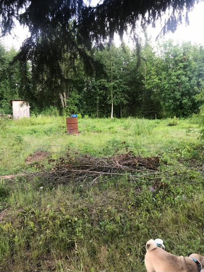 Участок 9,8 сот. (СНТ, ДНП)