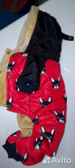 Одежда для маленьких собак зимняя