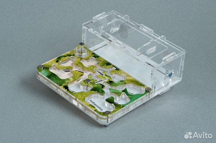 Муравьиная ферма (Формикарий) Мини