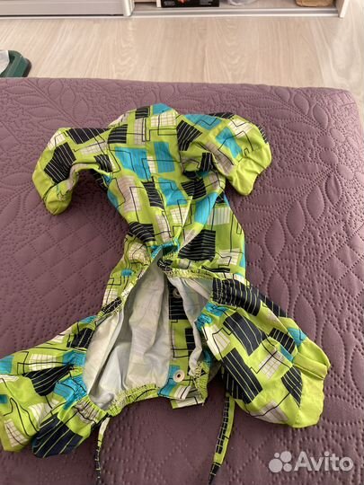 Одежда для маленьких собак