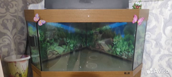 Аквариум с тумбой