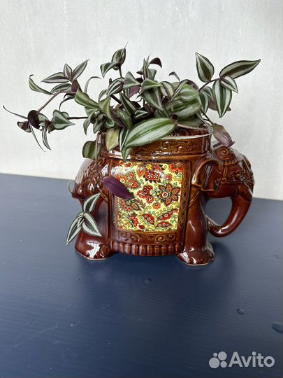 Горошок Слон