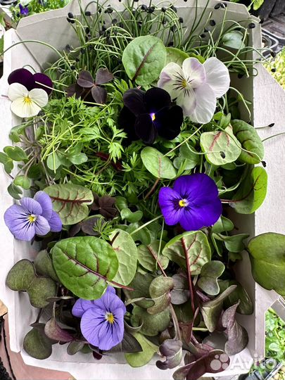 Менеджер прямых продаж