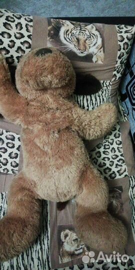 Собака - коричневый Бим, шоколадное ухо