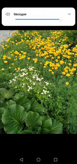 Дача 70 м² на участке 10 сот.