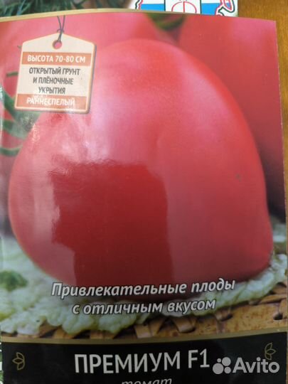 Рассада помидор и перцев