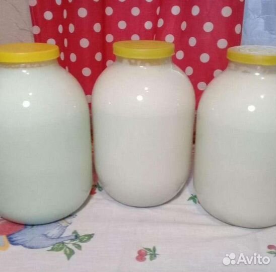 Молоко коровье