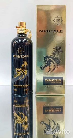 Montale Arabians Tonka