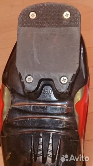 Ботинки горнолыжные