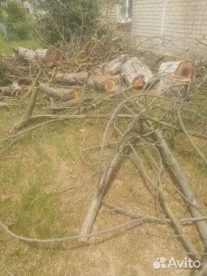 Отдам дрова бесплатно самовывоз