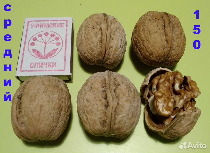 Грецкий орех