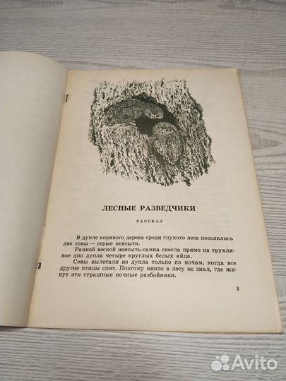 Лесные разведчики, Виталий Бианки, 1977