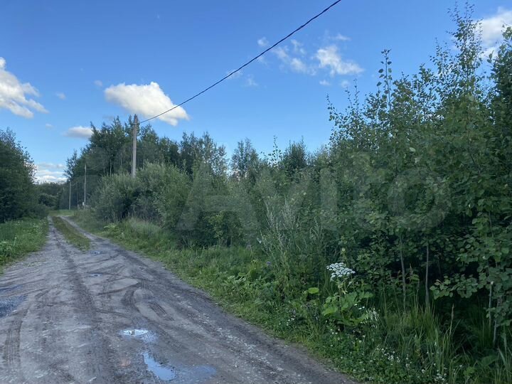 Участок 9,9 сот. (СНТ, ДНП)