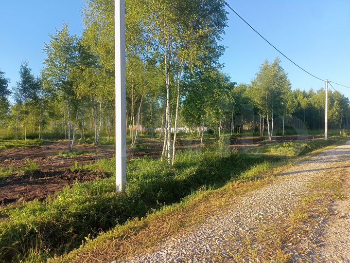 Участок 11,5 сот. (СНТ, ДНП)