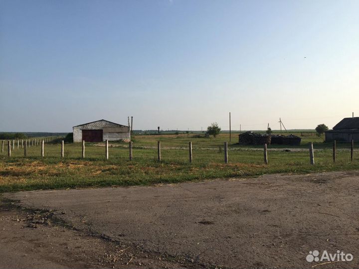 Фермерское хозяйство в Самарской области