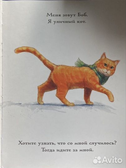 Книга Кот по имени Боб