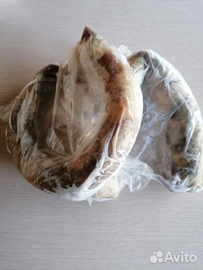 Конская колбаса казы