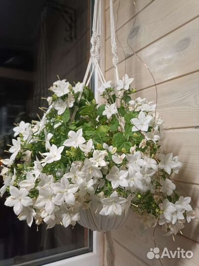 Кашпо подвесное макраме