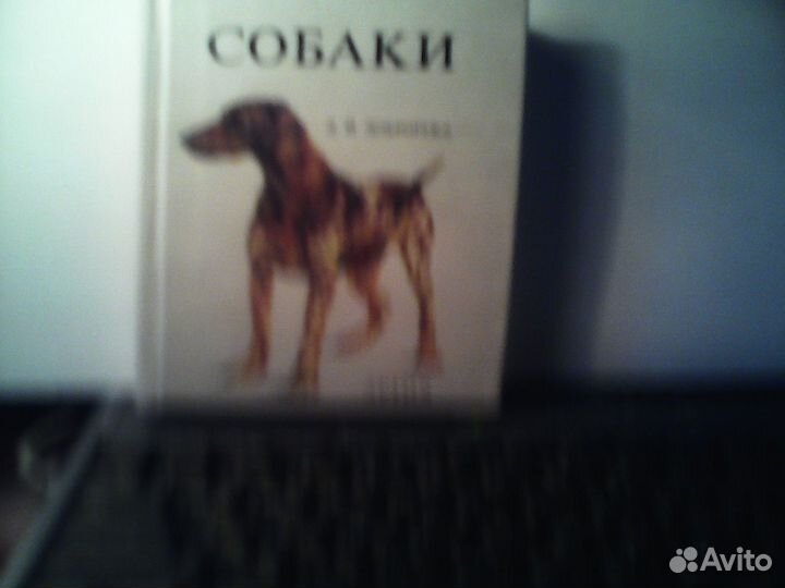 Собаки Л. И. Долгорука