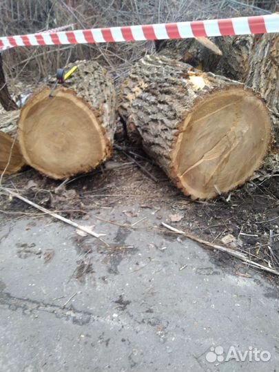 Слэб карагач 45-68см спил