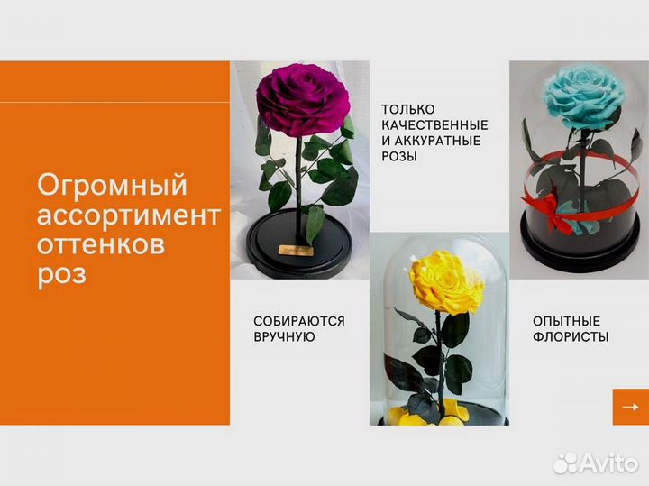 Роза в колбе. Стоит до 8 лет