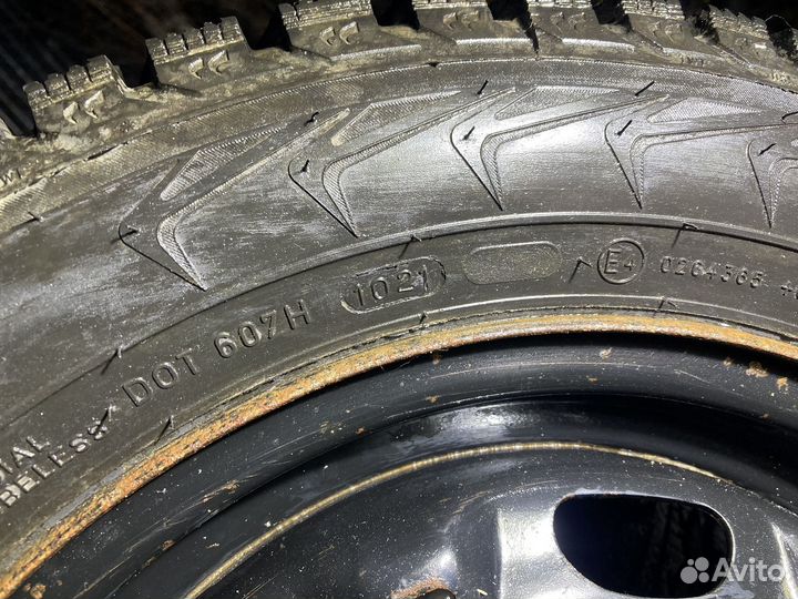 Nokian nordman 5 175 65 r14