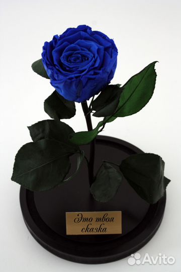 Роза в колбе во Владимире. В наличие