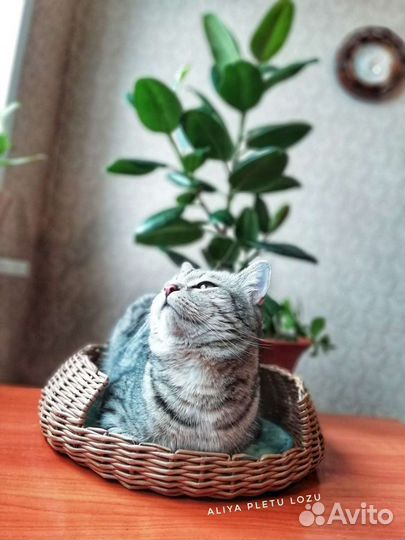 Лежанка для питомцев