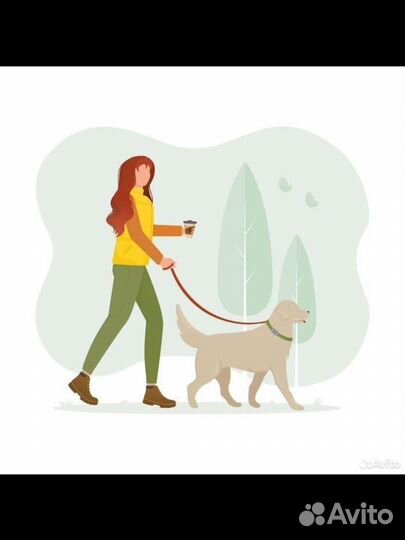 Выгул собак