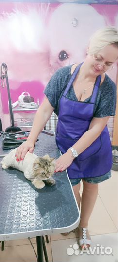 Грумерские услуги