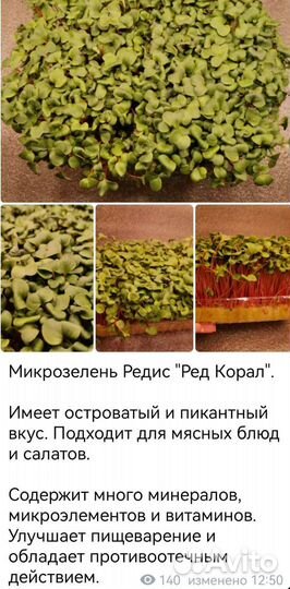 Микрозелень