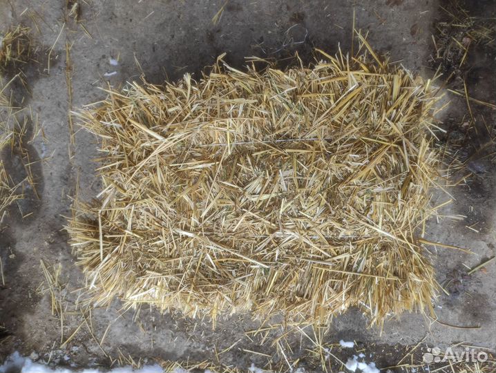 Солома в тюках с доставкой