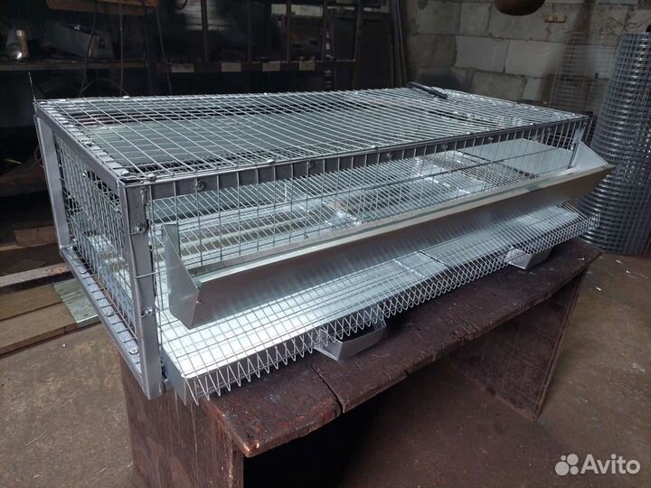 Клетка для перепелов на 50 голов