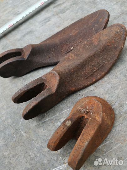 Лапа сапожная