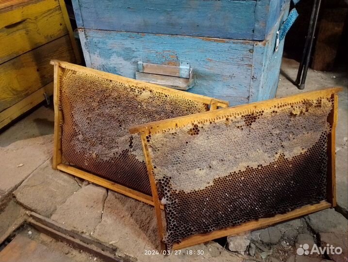 Медовые рамки