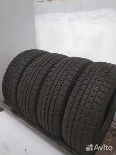 Dunlop Winter Maxx WM01 205/60 R16 92Q