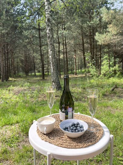 Дом 50 м² на участке 16 сот.