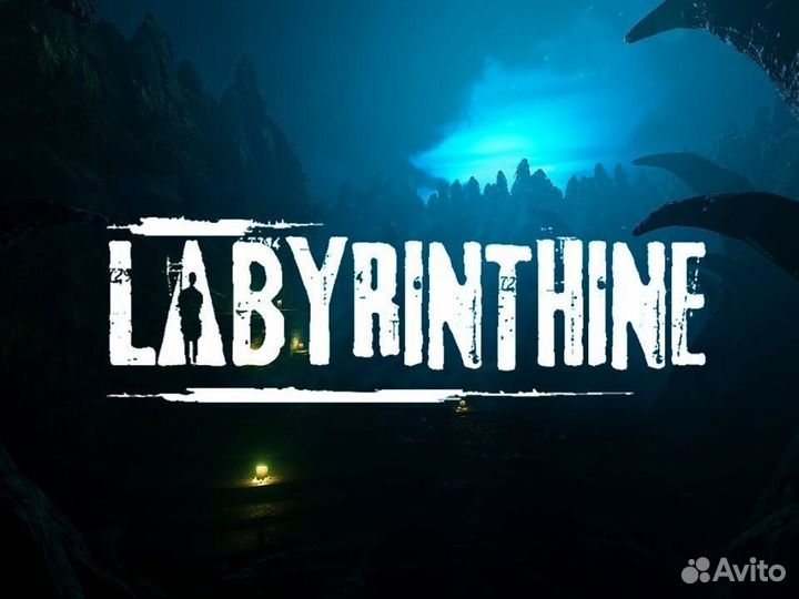 Labyrinthine Steam Gift